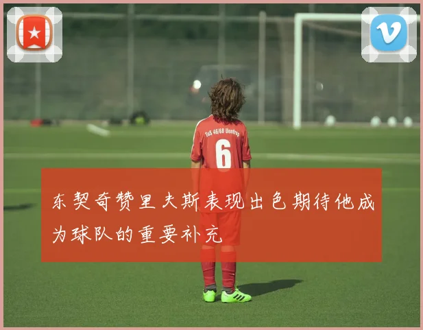 东契奇赞里夫斯表现出色期待他成为球队的重要补充
