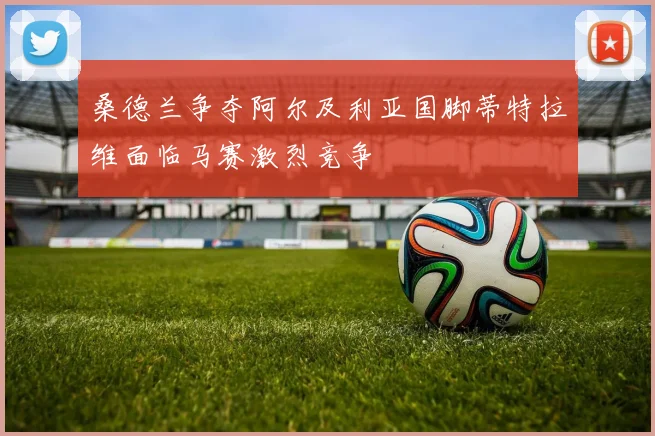 桑德兰争夺阿尔及利亚国脚蒂特拉维面临马赛激烈竞争