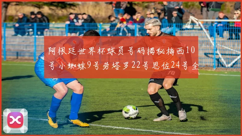 阿根廷世界杯球员号码揭秘梅西10号小蜘蛛9号劳塔罗22号恩佐24号全解析